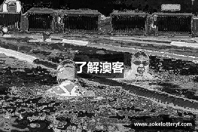 了解澳客